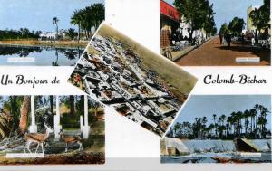 UN BONJOUR DE COLOMB-BECHAR........CPSM  PETIT FORMAT 5 VUES
