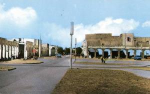 BECHAR....AVENUE COLONEL LOTTI.....CPSM  PETIT FORMAT