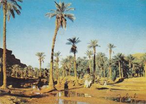 Bechar - la Palmeraie 1969