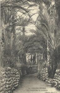 CPA Algerie COLOMB BECHAR