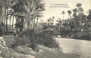 CPA Algerie COLOMB BECHAR