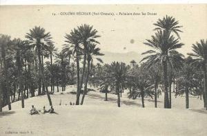 CPA Algerie COLOMB BECHAR