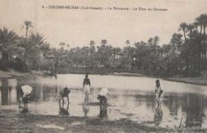 Colomb-Béchar La Palmeraie Le Trou du Chameau