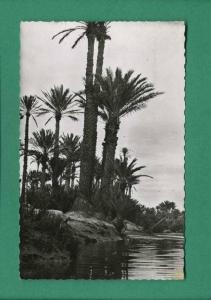 Algérie Colomb-Bechar Collection J Sebban Colomb-Bechar