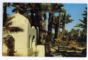 BECHAR Vue Panoramique