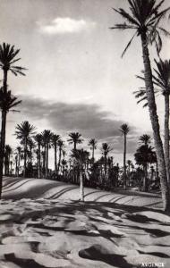 Colomb Bechar   Vue sur les Dunes