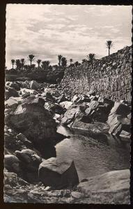 CPSM  Afrique Algérie COLOMB BECHAR  L´Oued