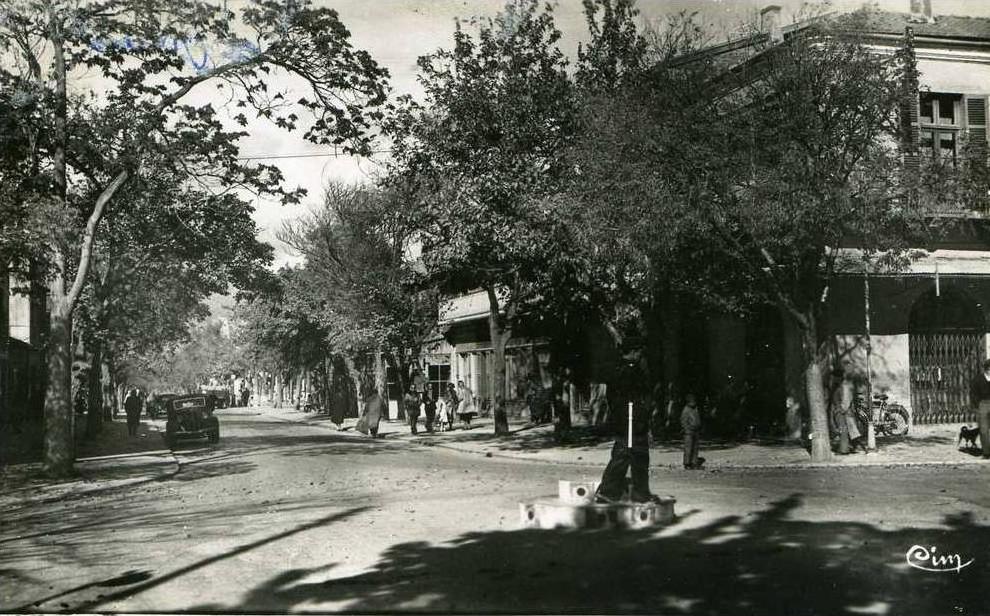 BATNA...AVENUE DE LA REPUBLIQUE...CPSM PETIT FORMAT ANIMEE