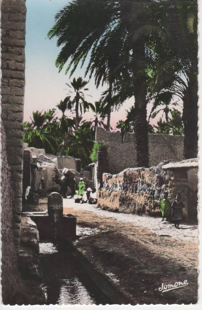 Algérie Biskra département de Batna une rue de Biskra N° 135 personnages fontaine belle carte dentelée