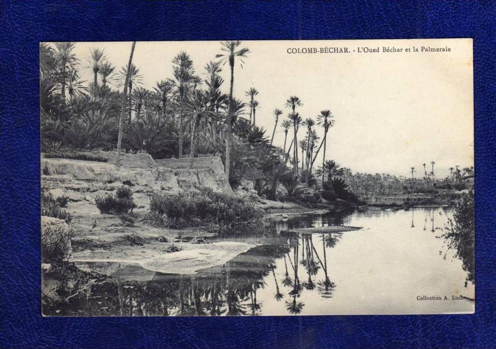 ALGERIE / ALGERIEN   Colomb Bechar    L'Oued Bechar et la Palmeraie