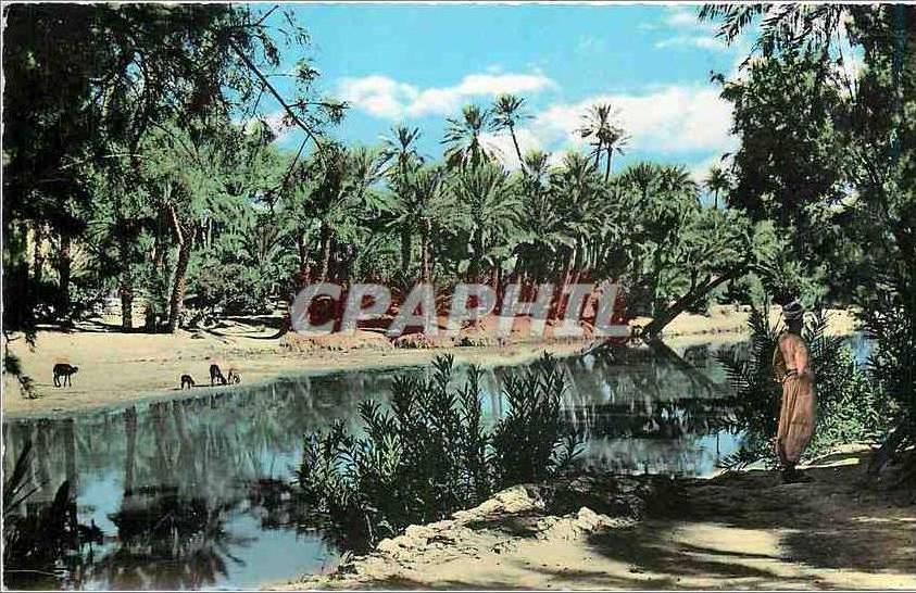 CPM Bechar vu par Argence