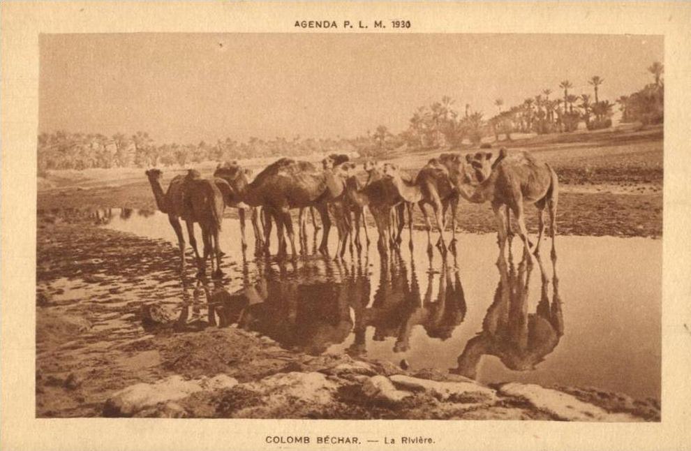 COLOMB BECHAR La Riviere