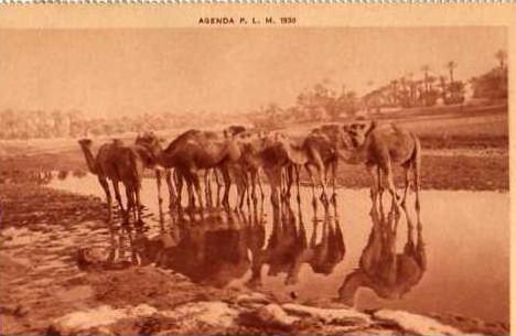 ALGERIE - COLOMB BECHAR La Riviere ,agenda P.L.M 1930.