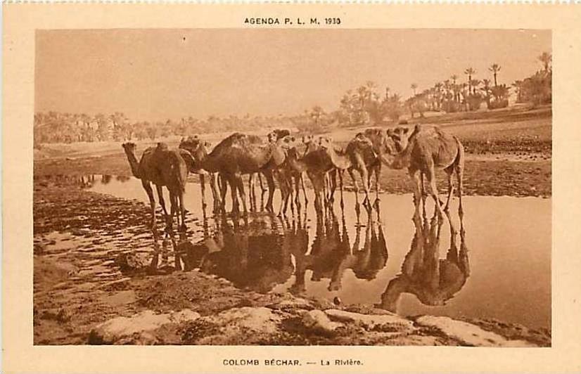 Fev13 181 Colomb Béchar  -  Rivière