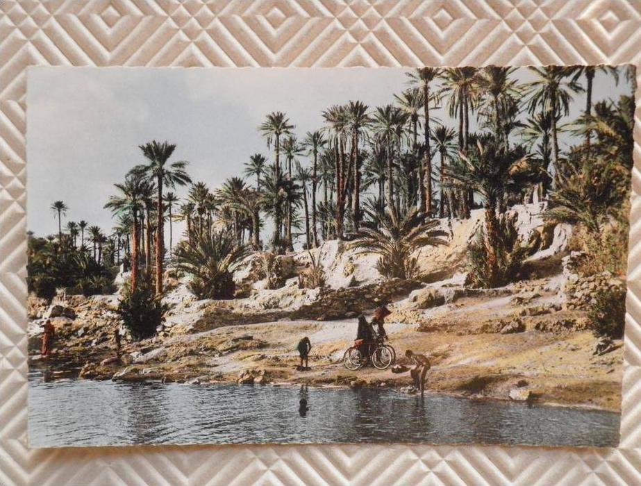 Belle CPSM  colorisée, animée   