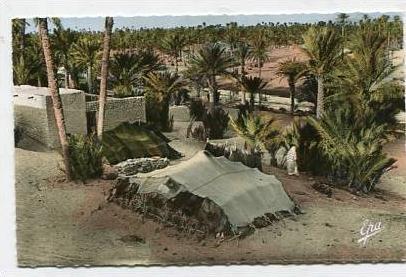 ALGERIA - AK 146282 Colomb-Bechar - dans l'Oasis