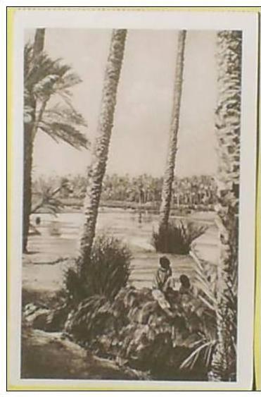 C. Postale  ALGERIE - COLOMB-BECHAR - LA RIVIERE