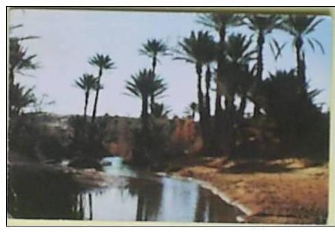 C. Postale  ALGERIE - BECHAR - LA PALMERAIE (1966)