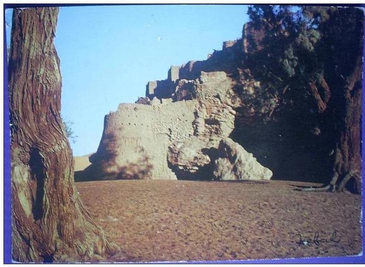 C. Postale  ALGERIE - BECHAR - TAGHIT
