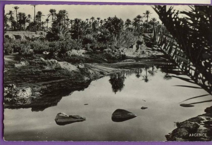 BOITE 13 4 Colomb Bechar coin de la Palmeraie Ecrite Date 1957.