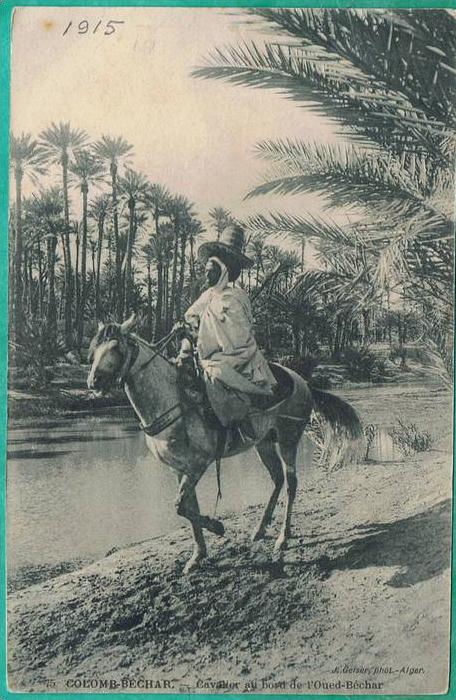 CPA ALGERIE - COLOMB-BECHAR - CAVALIER AU BORD DE L'OUED-BECHAR - CHEVAL