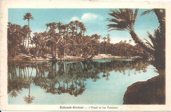 COLOMB BECHAR. L' OUED ET LES PALMIERS.