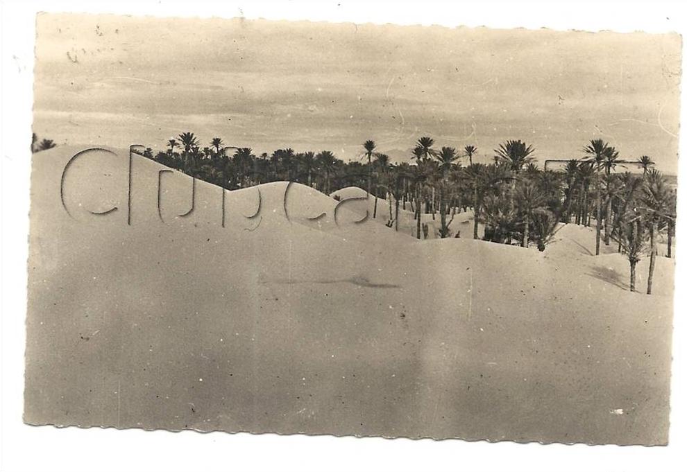 Béchar ou Colomb-Béchar (Algérie)  les dunes et les palmiers en 1950.
