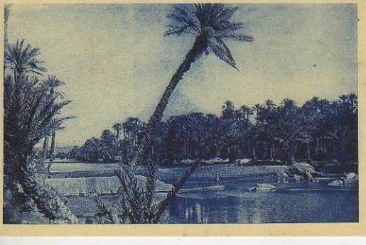 AU BORD DE L`OUED  COLOMB BECHARD  OHL