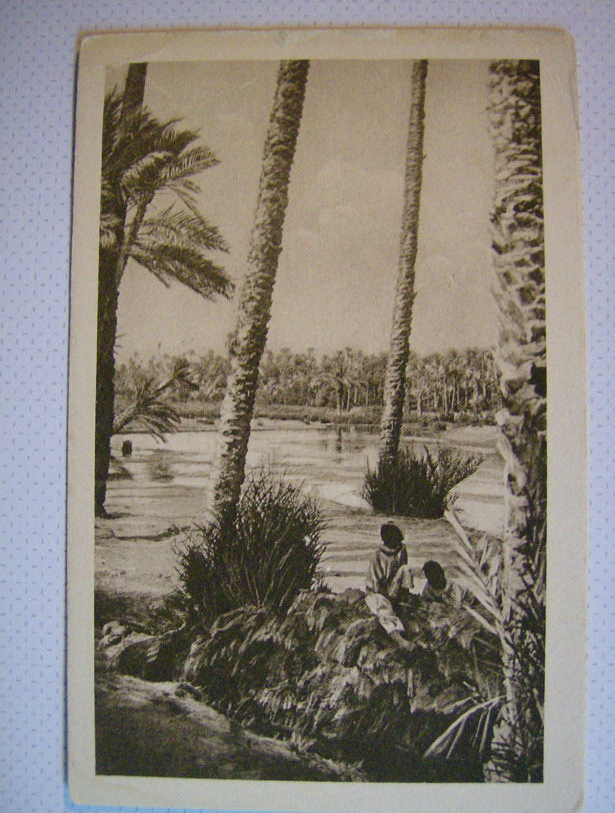 Riviére de Colomb Béchar