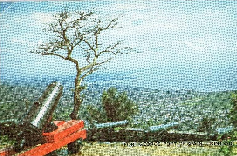 22861   Algeria,  Colomb-Bechar (Sud-Oranais),  Un  Chemin  dans  la  Palmeraie,  NV