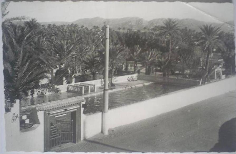 C. Postale  ALGERIE - COLOMB-BECHAR - La Piscine Municipale (1961)