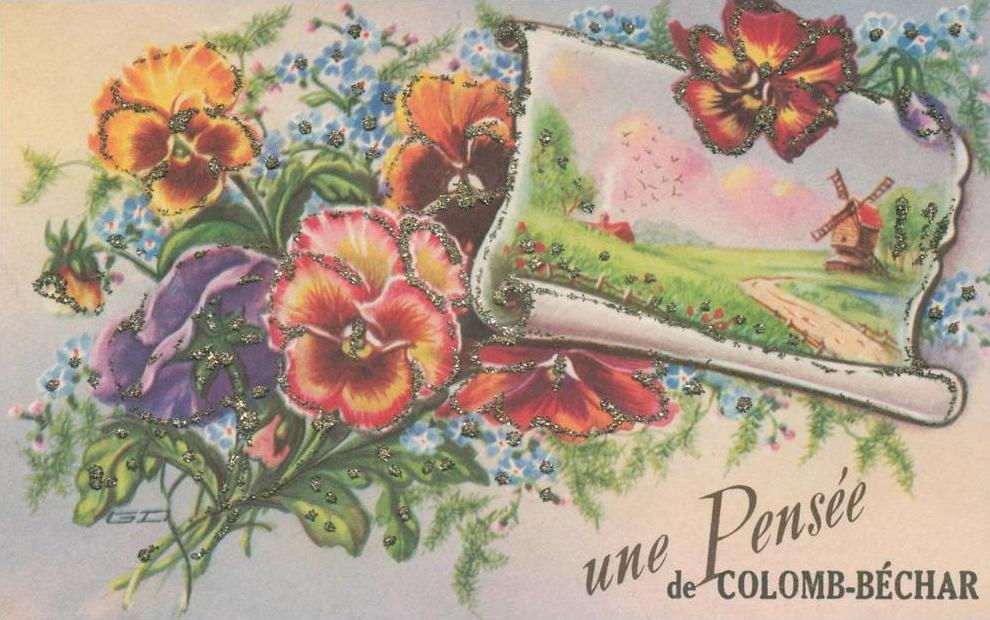 CPA Algérie  Souvenir de COLOMB-BECHAR      A  VOIR !!!!!