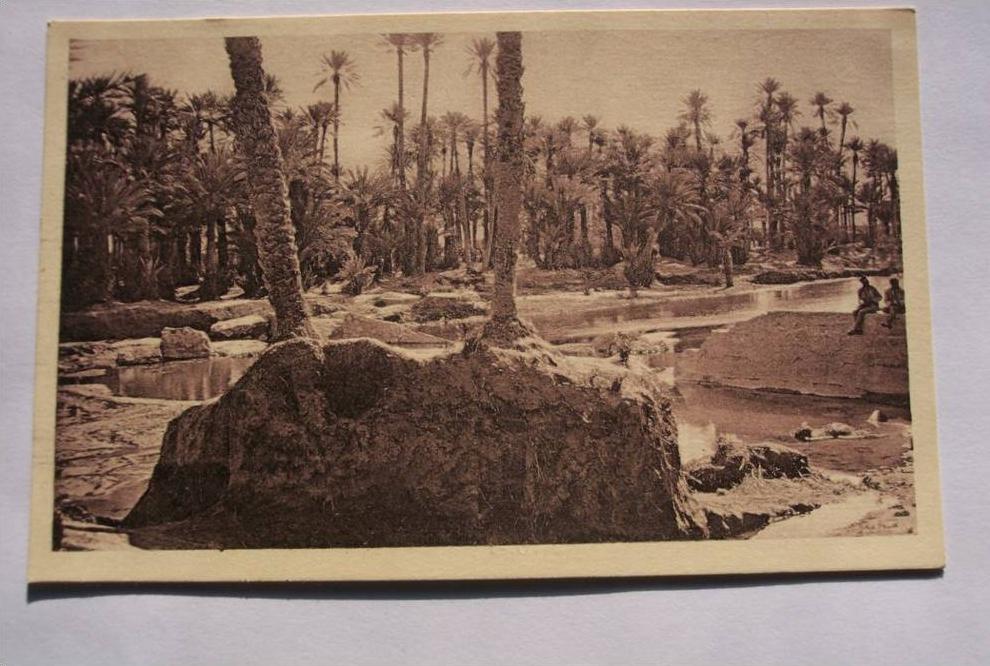 CPA - X3 -- COLOMB BECHARD  au bord de l oued