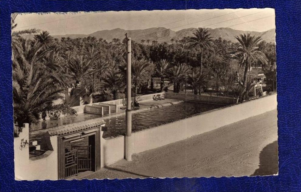 ALGERIE / ALGERIEN     Colomb Bechar  La Piscine  Municipale