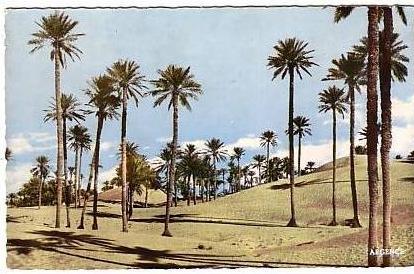 Colomb Béchar - les dunes - éd. Argence