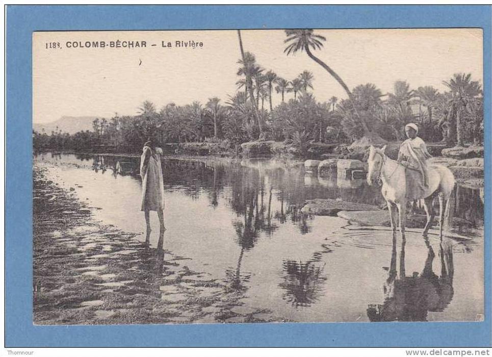 COLOMB - BECHAR  -  La  Rivière   -  BELLE CARTE ANIMEE -