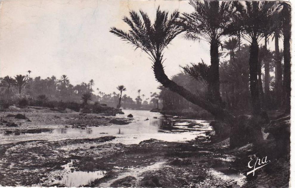 155   -  COLOMB-BECHAR   -  Oued  et  Oasis