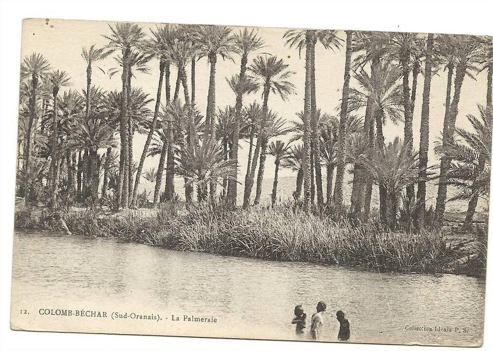 Bechar ou Colomb-Béchar (Algérie)  Baignade dans la palmeraie env 1906 (animée).