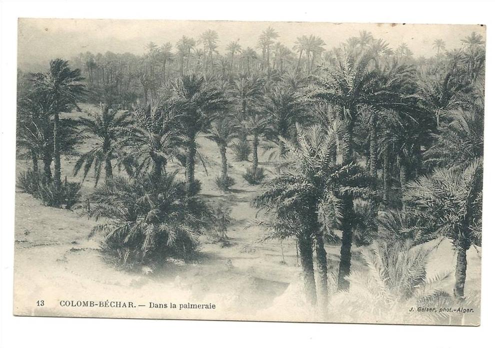 Bechar ou Colomb-Béchar (Algérie)  Vue sur la palmeraie env 1906 (animée).