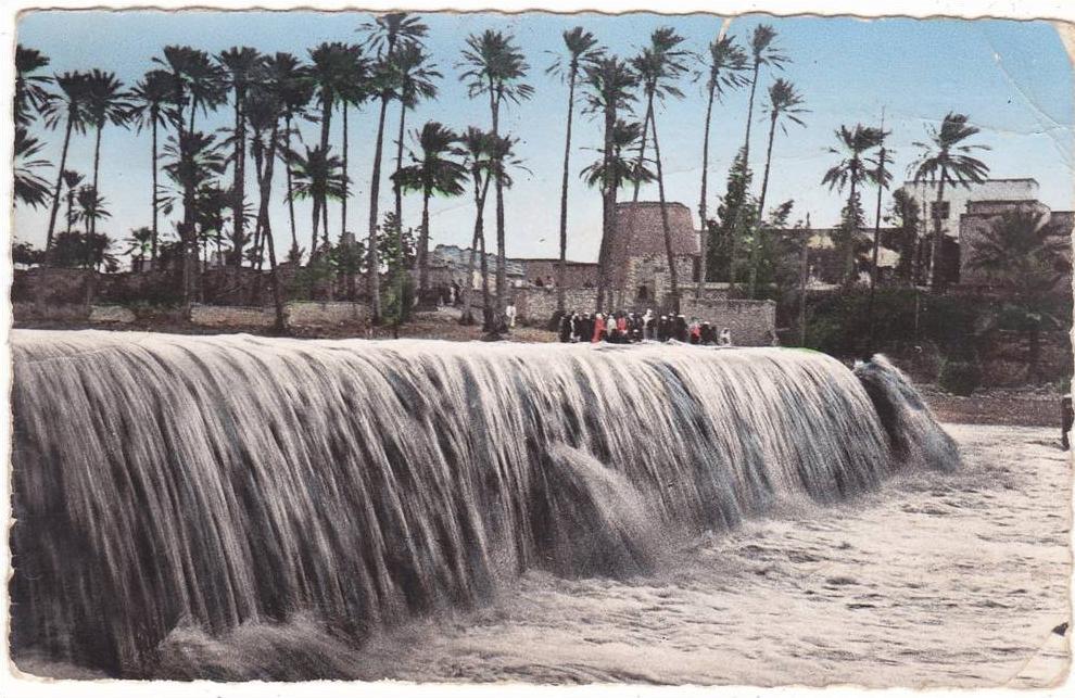 69.   COLOMB-BECHAR    -  L' Oued  en  crue