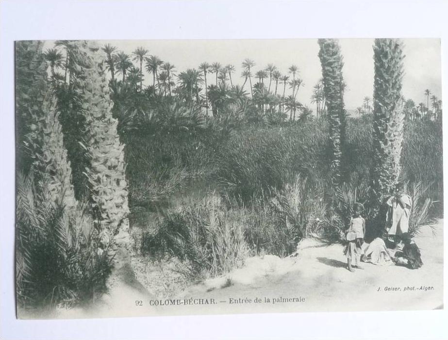 COLOMB BECHAR - Entrée de la Palmeraie