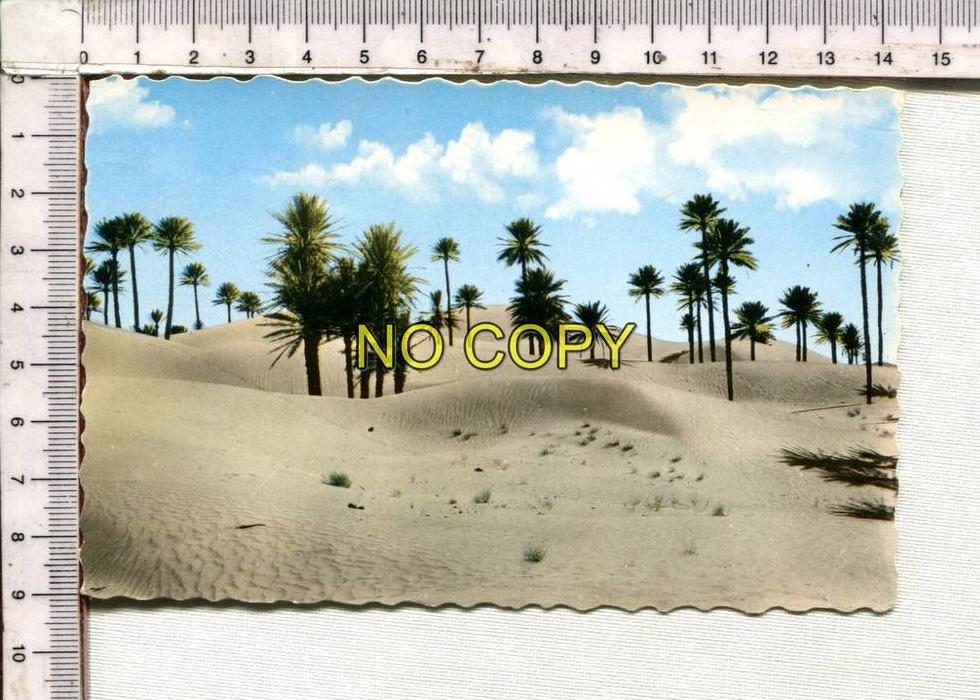 COLOMB BECHAR -  Les Dunes de Colomb Béchar