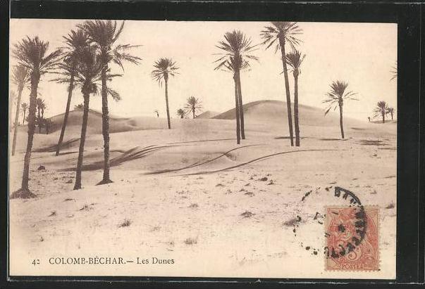 CPA Colomb-Bechar, Les Dunes, DÌnen in der WÌste mit Palmen