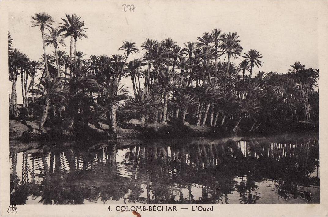 D277# ALGERIE COLOMB BECHAR L' OUED BEL AFFRANCHISSEMENT