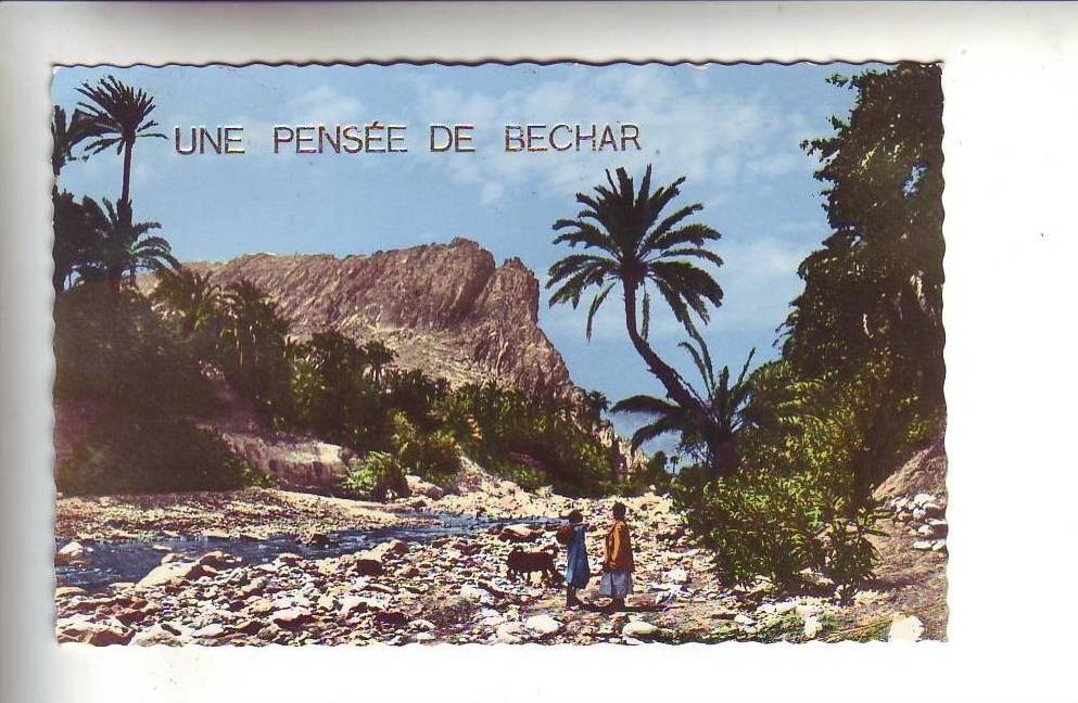 UNE PENSEE DE BECHAR