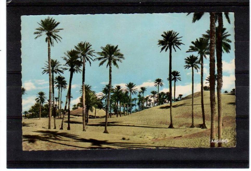 Algerie , COLOMB-BECHARD  les dunes  , Argence  éditions
