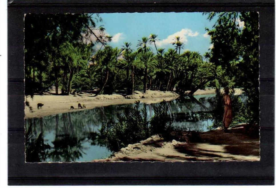 Algerie COLOMB BECHARD vu par , Argence  éditions