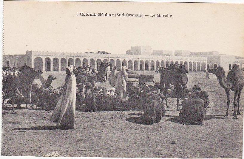 5 - Colomb-Béchar (Sud-Oranais) - Le Marché (Belle animation / Indigènes / Chameaux)