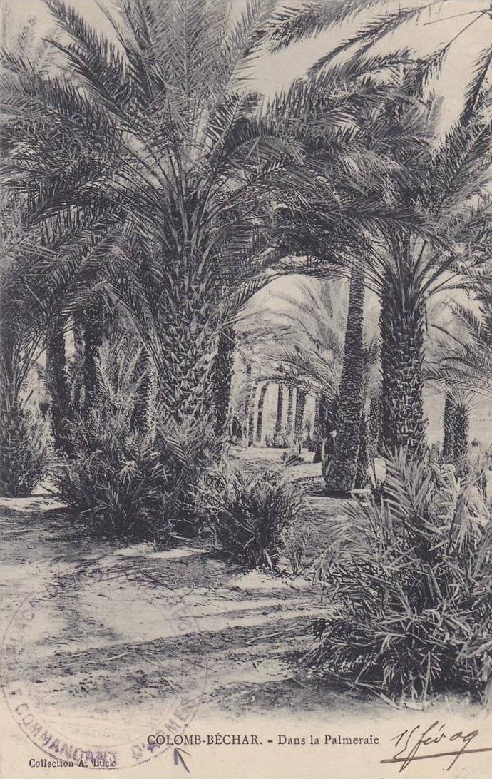 AFRICA,AFRIQUE DU NORD,AFRIKA,ALGERIE FRANCAISE,colonie,COLOMB BECHAR,2 tampons militaires,saourah,palmer aie,rare