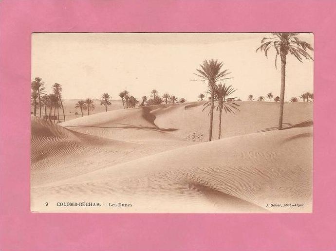 * CPA..ALGERIE.....COLOMB - BECHAR..Les  Dunes